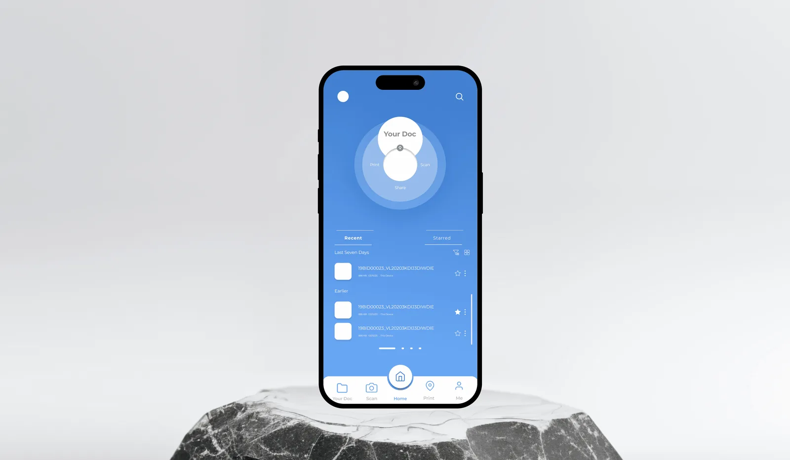 Vaikarya home screen on a phone, on a stone plinth